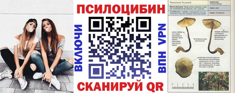 Купить где Баймак Псилоцибиновые грибы мухоморы